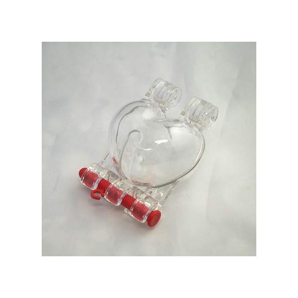 【商品概要】大玉トマトをハートの形にできる専用ケース大玉トマトをハートの形にする、専用ケース。トマトの実が小さいうちにケースを取り付け、ケースに密着するように大きく育てます。ケースを取り付ける実が大きくなるよう、実を摘果します。プラスチック...