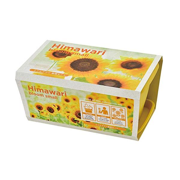 【商品概要】フラワー【商品説明】【商品詳細】ブランド：聖新陶芸商品種別：DIY・工具・ガーデン商品名：聖新陶芸 エンジョイプランター ミニヒマワリ フラワー GD-93201製造元：GD-434商品番号：GD-93201商品内容：サイズ：約...