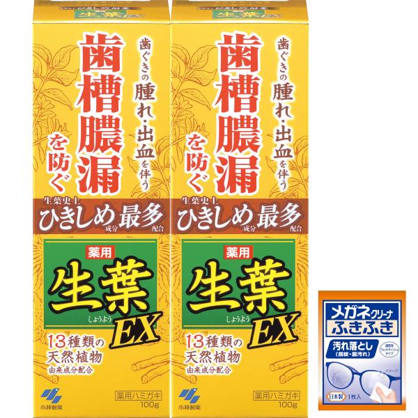 他サイト： 【】【まとめ買い】生葉EX(しょうようEX) 歯槽膿漏を防ぐ 薬用ハミガキ 和漢ハーブの香味 100g ×2個(おまけ付き)【医薬部外品】の商品画像