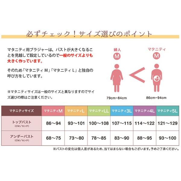 サイズ目安