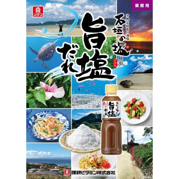 塩だれ 万能 調味料 理研 旨塩だれ 石垣の塩 リケン 業務用 沖縄 海塩
