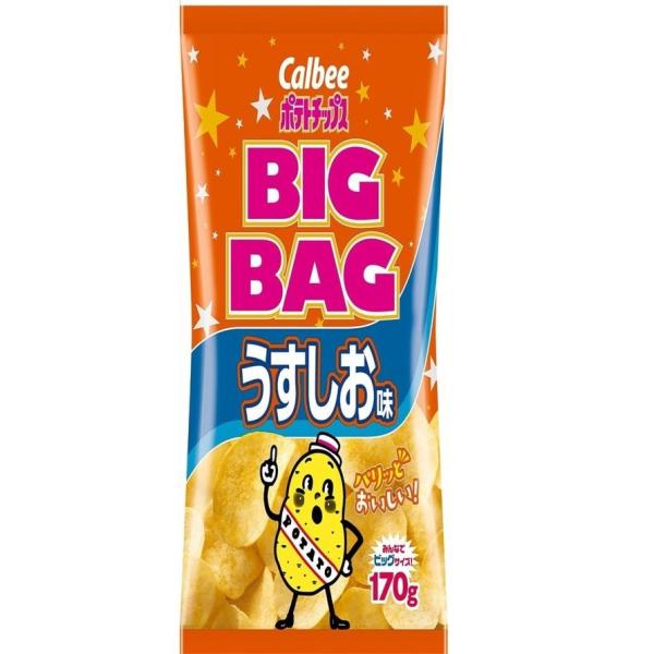カルビー ポテトチップス ビッグバッグ うすしお味 １７０ｇ
