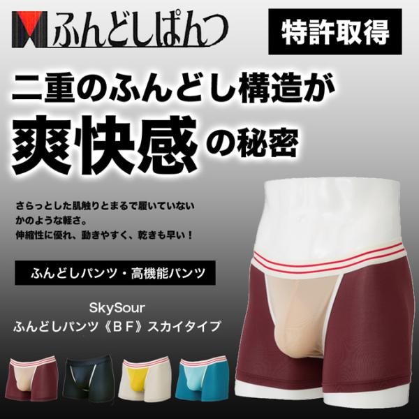 SUBROSA SkySour ふんどしパンツ (BF) スカイタイプ 送料無料