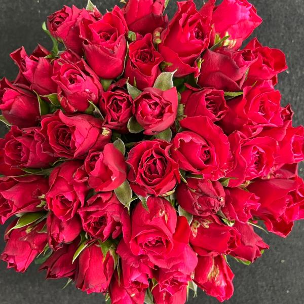 赤バラ　フルフル（赤絞り）赤薔薇40本　長さ30センチSM混合サイズ★こちらは30センチSサイズの少し小ぶりな花と通常サイズの混合になります還暦のお祝いや結婚記念日・お誕生日プレゼント、プロポーズ、大切な方へのギフトなどにもいかがでしょうか...