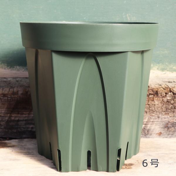 秋の資材セール 6号スリット鉢(18センチ)(あすつく対象品) :112-1300060106-010:バラ専門店 ザ・ローズショップ - 通販 - Yahoo!ショッピング 秋の資材セール 6号スリット鉢(18センチ)(あすつく対象品) :112-1300060106-010:バラ専門店 ザ・ローズショップ - 通販 - Yahoo!ショッピング