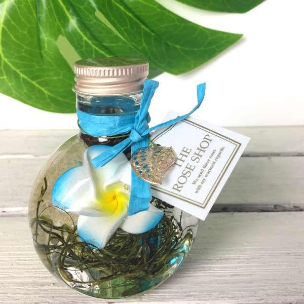 ハーバリウム ハワイアン ブループルメリア プリザーブドフラワー ドライフラワー 植物標本 122 1711 バラ専門店 ザ ローズショップ 通販 Yahoo ショッピング