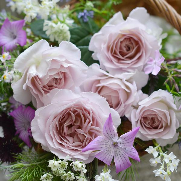 roseshop_322-1312021006-014