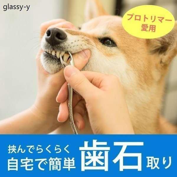 愛犬 愛猫用 歯石取り ペンチ 犬 歯石 デンタルケア ホームケア 猫 プロも愛用 Xd6c Rosevshop 通販 Yahoo ショッピング