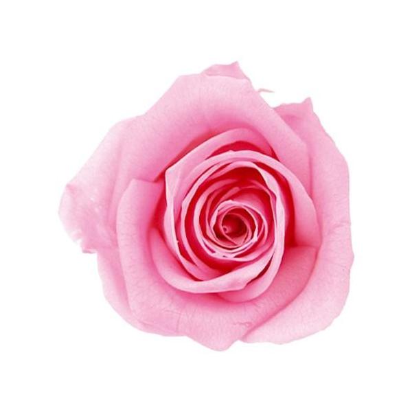 Verdissimo ヴェルディッシモ バルク ミニローズ ブライダルピンク フラワーアレンジメント その他フラワーアレンジメント 508 ガーデニング 花 植物 ｄｉｙ