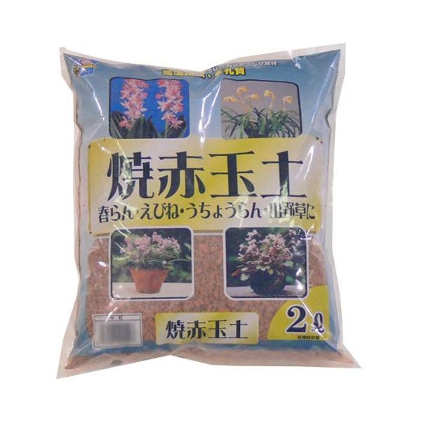 人気アイテム 新しい到着 あかぎ園芸 焼赤玉土 園芸用土 中粒 中粒 園芸用品 2l 10袋 ガーデニング 花 植物 ｄｉｙ