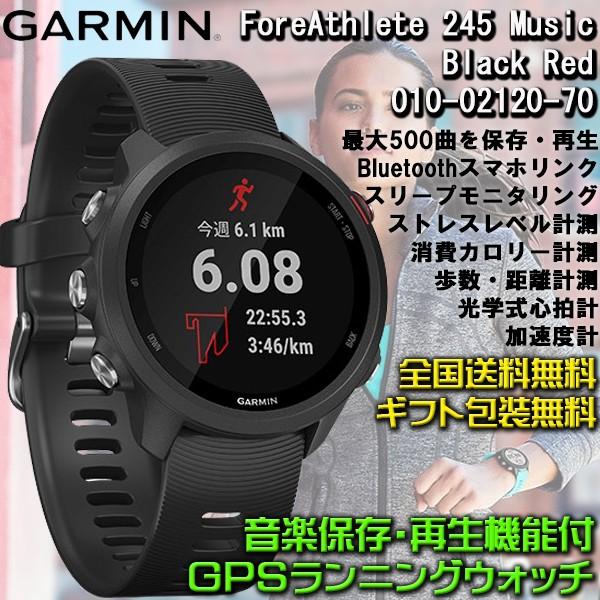 garmin 245 gps