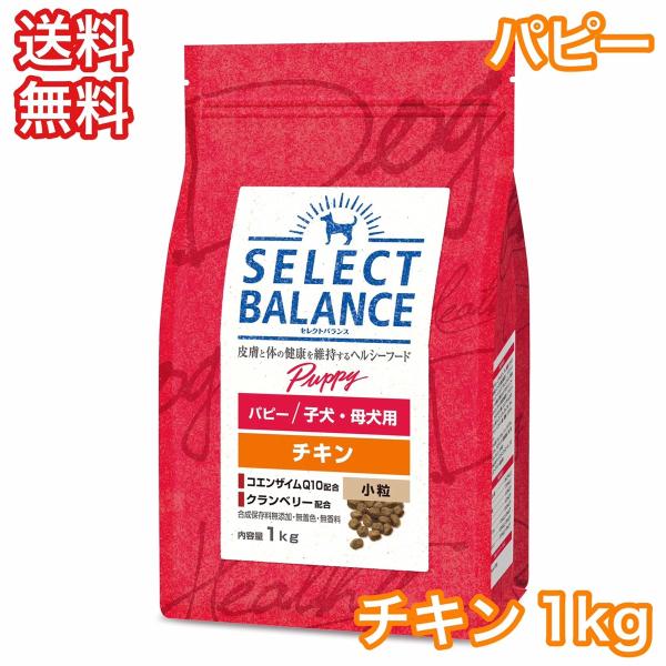 セレクトバランス チキン パピー 小粒 子犬 母犬用 1kg ドッグフード 送料無料