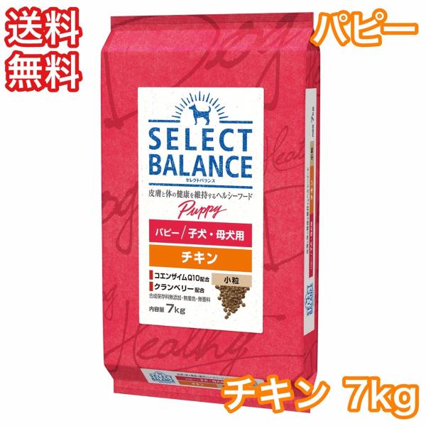 セレクトバランス チキン パピー 小粒 子犬 母犬用 7kg ドッグフード 送料無料
