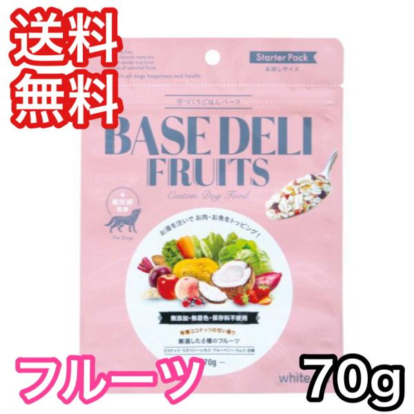 手づくりごはん ベースデリ フルーツ 70g BASE DELI FRUITS 愛犬用 ドッグフード 送料無料