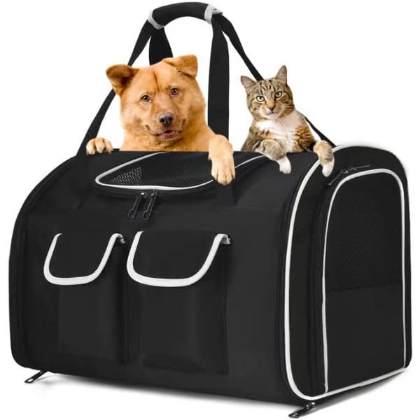 ポーター　ペットキャリーバッグ　犬・猫 rosso-kokura_rfa7nt9v