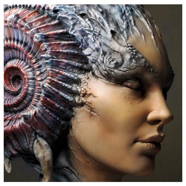 Caracolilla 1/2scale Bust kit�y���񂹁z