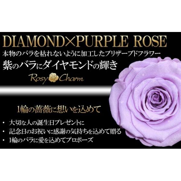 ダイヤモンドローズ プリザーブドフラワー ボックス入り 1本 紫色のバラ 誕生日 プレゼント プロポーズ 結婚式 記念日 薔薇 花束 1輪 薔薇 枯れない花 ギフト Buyee Buyee Japanese Proxy Service Buy From Japan Bot Online
