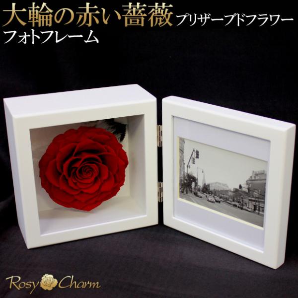 アンティーク ポワンドパリ 舞う1輪の薔薇のモチーフ センターフレームドイリー rosycharm_pictureframe-red