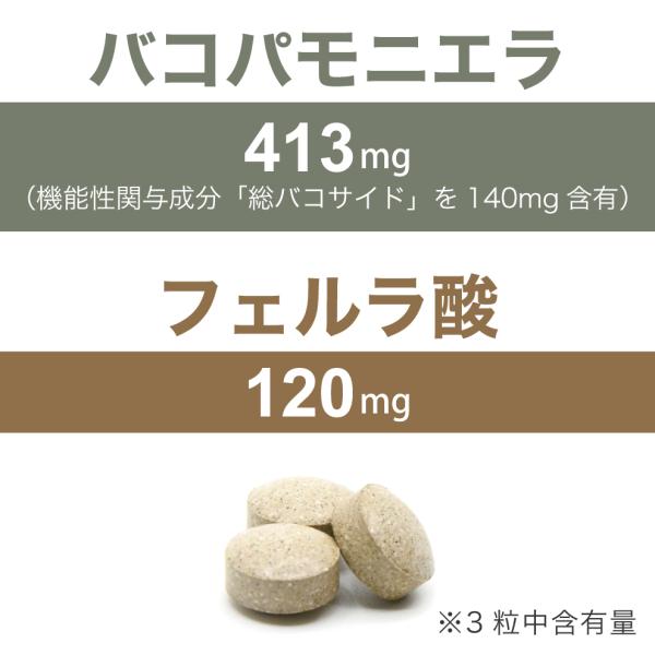 �F�m�@�\ �L���� �ێ����� �o�R�p �t�F�����_ �T�v�� �t�F���o�R�pTablet�i90���j �o�R�p���j�G�� Bacopa �]�� �T�v�������g �@�\���\���H�i ROTTS ���b�c ���i�摜2