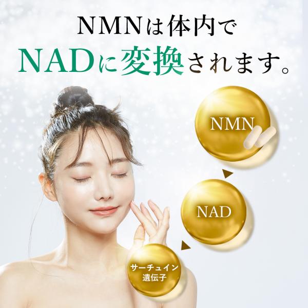 健康アクセサリー NMN ROTTS ROTTS NMN（40カプセル） 国産NMN（純度99％以上） コエンザイム