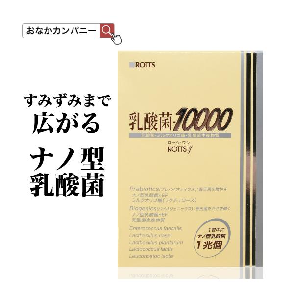 [3個セット] 乳酸菌10000 ROTTS-1 （30包×3個） ナノ型乳酸菌 微粒子乳酸菌 ミルクオリゴ糖 ラクチュロース 乳酸菌生産物質 顆粒 粉末 サプリメント ロッツ