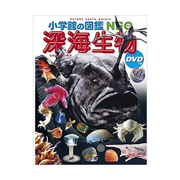 本 図鑑集 小学館 深海シリーズ 小学館の図鑑NEO 深海生物 DVDつき : 朗読社Yahoo!店 - 通販