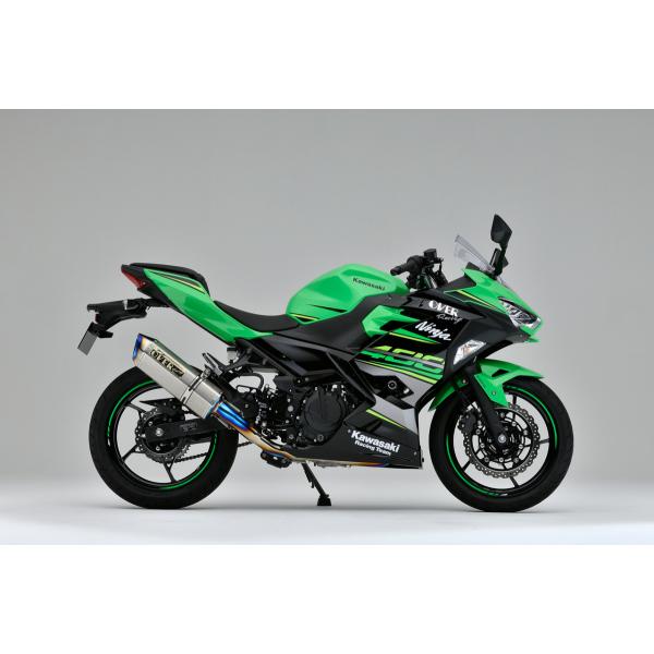 25-722-11 NINJA400 18 I[@[[VO TT-Formula RS t`^tGL][Xg}t[ 2-1 I[o[[VO OVERRACING