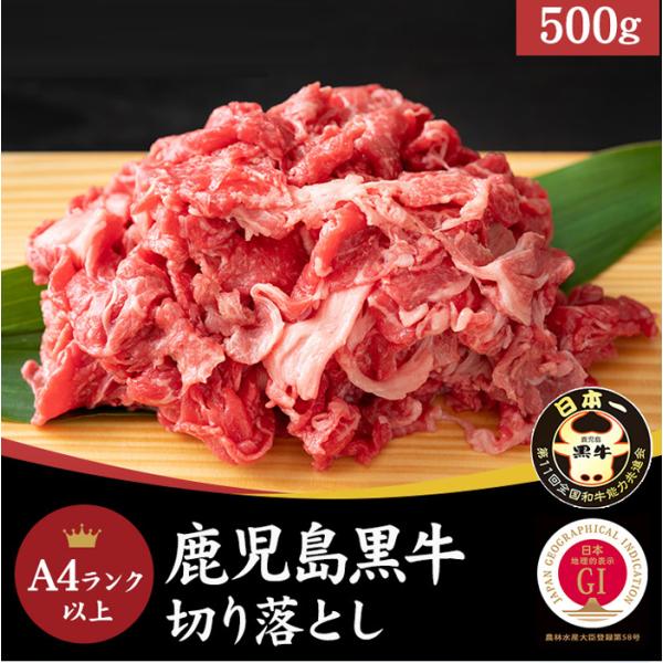 とろけるような食感!!鹿児島黒牛A4ランク以上切り落とし500g