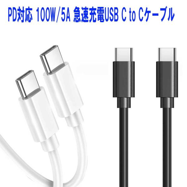 2in1 USB C ケーブル 1M PD対応 100W急速充電 1m 送料無料】 1m USB Type C ケーブル【PD対応 100W/5A 急速充電