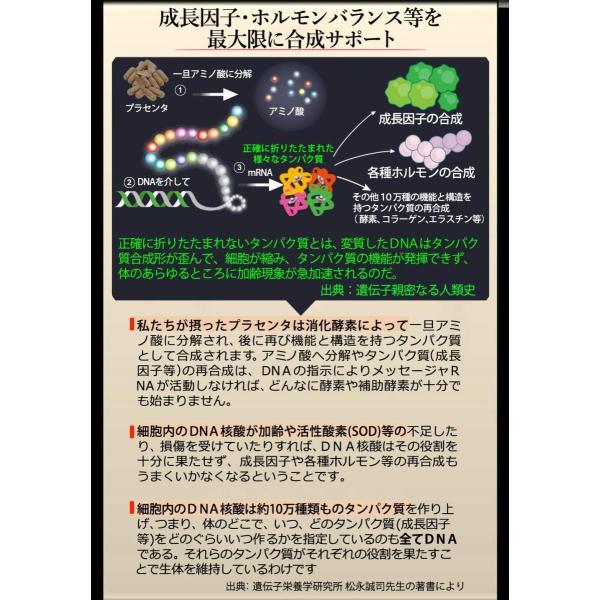 プラセンタ サプリメント 馬 国産 極限増量北海道サラブレッドプラセンタ原末230mg+DNA核酸原末75mg 合計2袋 ほぼ原価販売 /【Buyee】 プラセンタ サプリメント 馬 国産 極限増量北海道サラブレッドプラセンタ原末230mg+DNA核酸原末75mg 合計2袋 ほぼ原価販売 /【Buyee】