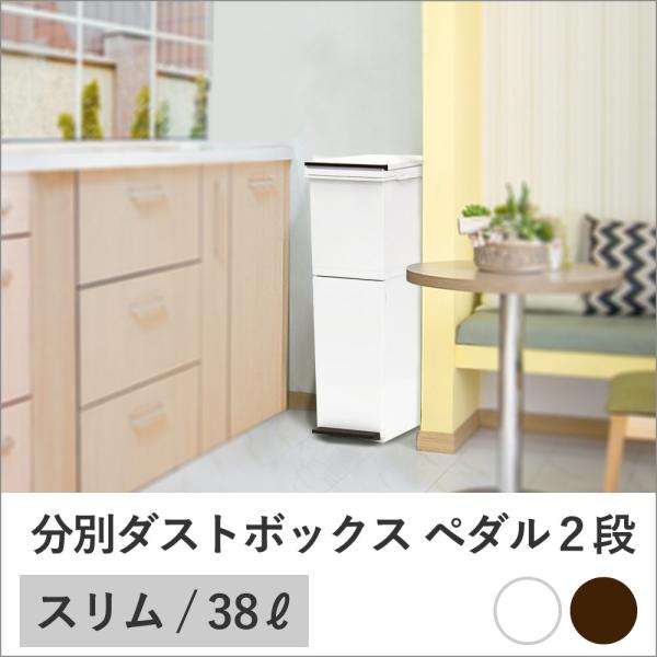 分別 ダストボックス パッキン付ペダル 2段スリム 38l ゴミ箱 ごみ箱 ダストボックス 分別 2分別 38リットル キッチン リビング ペダル 2段 分別ごみ箱 C021 ロイヤル通販 通販 Yahoo ショッピング