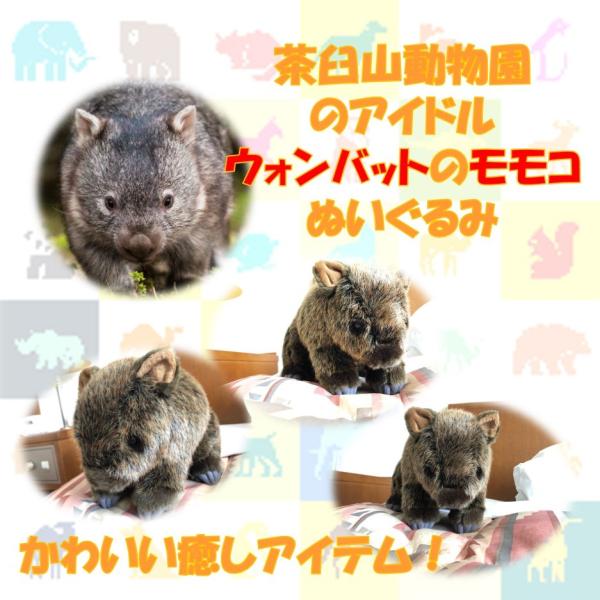 宅配便 お土産 茶臼山動物園 ウォンバット Tvで話題 人気動物 ぬいぐるみ 茶臼山動物園の人気者 ウォンバットのモモコぬいぐるみ1体 A000 ロイヤルホテル長野 Yahoo 店 通販 Yahoo ショッピング