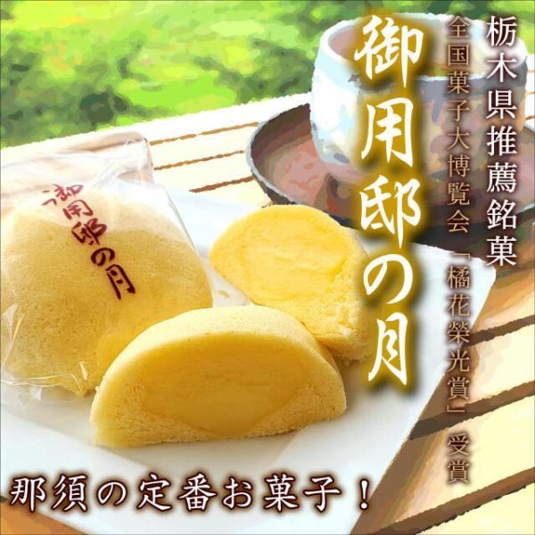 ふるさと納税 日光の月 12個入 小 栃木 日光 ご当地 日光東照宮 お土産 お菓子 和菓子 カスタード クリーム 一口サイズ 絶品 贈答品 観光 旅行 ギフト お取り寄せ 防水ステッカーSWT21