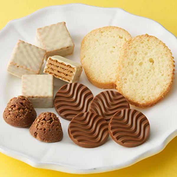 roycemall_309_2_d_20260129131837