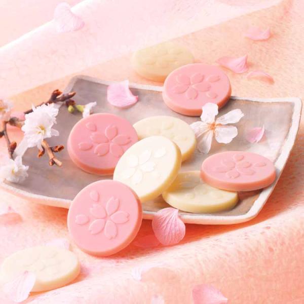 roycemall_439_1_d_20260129131414