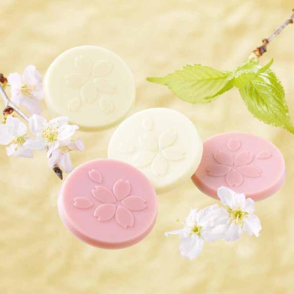 roycemall_439_2_d_20260129131414