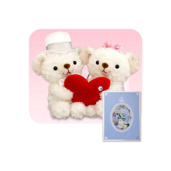 d ʂ  jd v[g n[gtxA MTCY C[Yu[