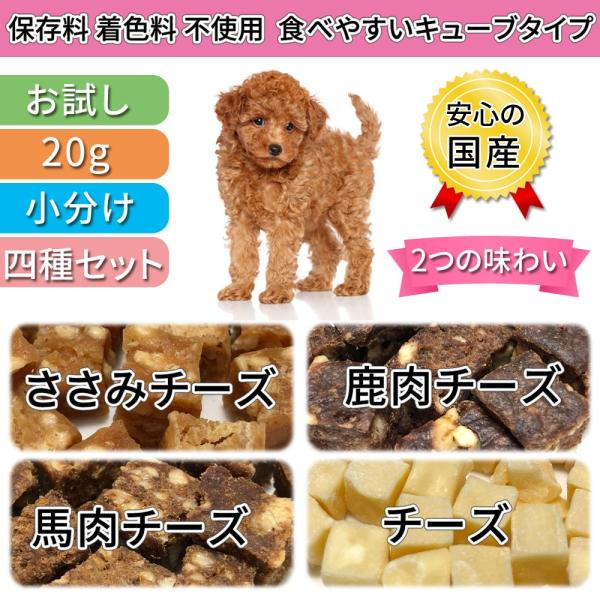 2つの味わい 犬 おやつ 無添加 国産 キューブ 食べきり セット ささみ