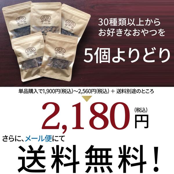 犬 おやつ 無添加 選べる5個セット どっぐふーどる 国産 さつまいも ささみ チーズ 鹿肉 鮭 ジャーキー ペット ギフト ドッグフード アレルギー  ペットフード /【Buyee】 