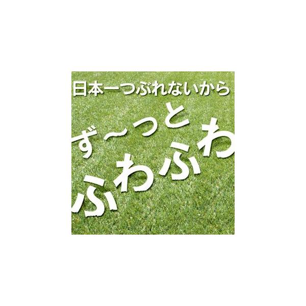 lHŁ@[^[t 2m×5m@1