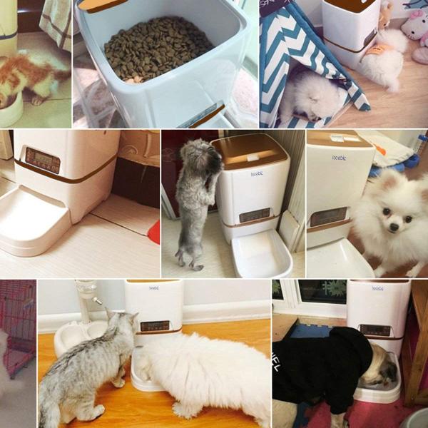 速くおよび自由な 自動給餌器iseebiz 猫犬用ペット自動餌やり機5l大容量1日4食で最大日連続自動給餌タイマー式録音可水洗い可能猫 犬 高級感特価ブランド