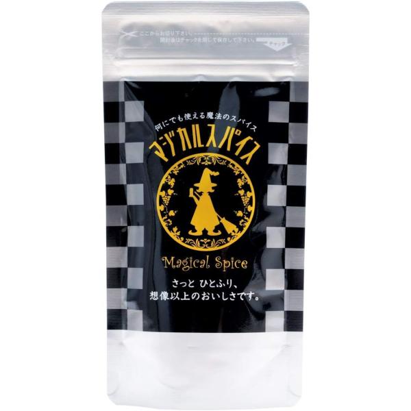 他サイト： ライフテック スパイス マジカルスパイス 袋 100g 万能スパイス 魔法のスパイス キャンプ BBQ バーベキュー 肉料理 詰め替え用 詰替え用の商品画像