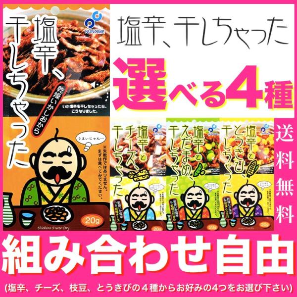 北海道、函館名産のいか塩辛をフリーズドライで仕上げました。口に広がる風味は、お酒やビールのつまみにとても良く合います。こだわりの味をぜひご賞味下さい。大人気の美味しい塩辛干しちゃった4種からお好きな４個を選べるようにしました。