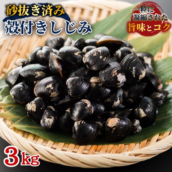 冷凍 しじみ 3kg (1kg×3袋)  大容量 砂抜き処理済 殻付き 貝 蜆汁 しじみの味噌汁 蜆 シジミ 殻付き貝 しじみスープ 砂抜き済 冷凍貝 オルニチン 送料無料