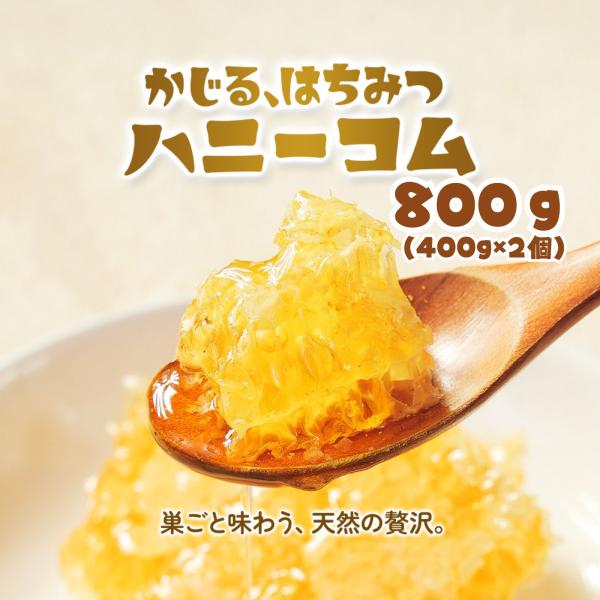巣蜜 (ハンガリー産) 800g (400g×2個) 巣蜜 はちみつ 蜂蜜 蜂の巣 コムハニー ミツバチ アカシアハニーコム 朝食 トースト 天然 無添加 砂糖不使用 送料無料