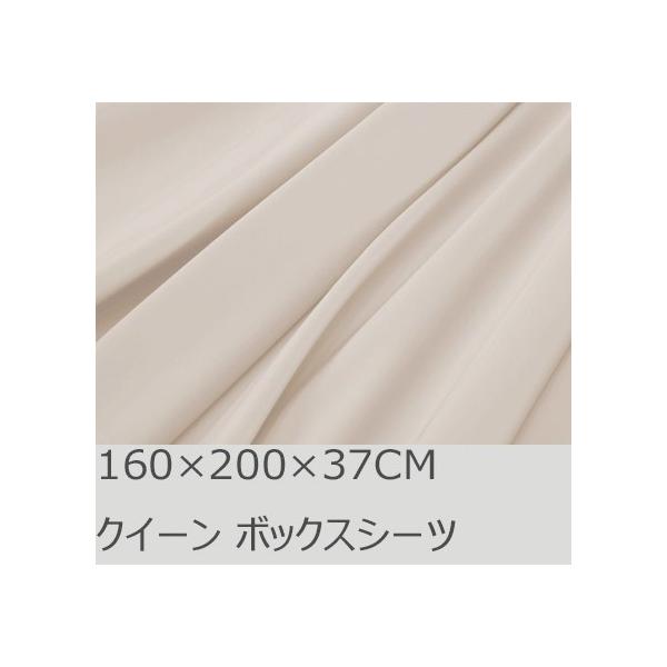 R.T. Home - GWvg(GWvg)zei{bNXV[c NC[ TCY@500XbhJEg TeD N[ x[W(160*200*37CM)