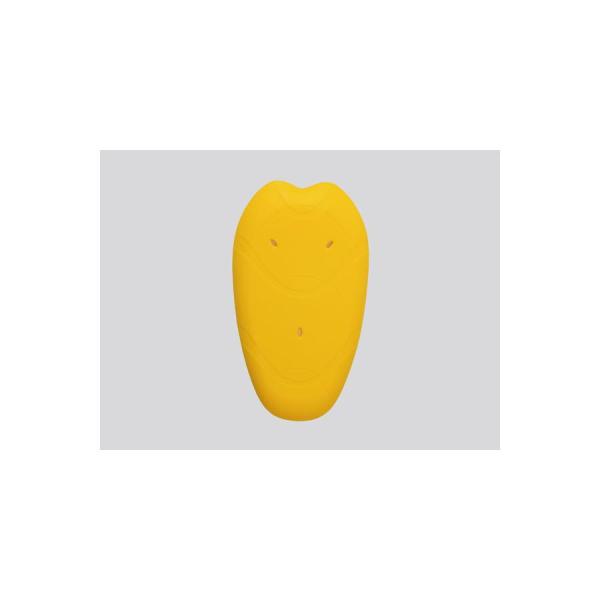 fCgi SAS-TEC wveN^[ STCY/x1