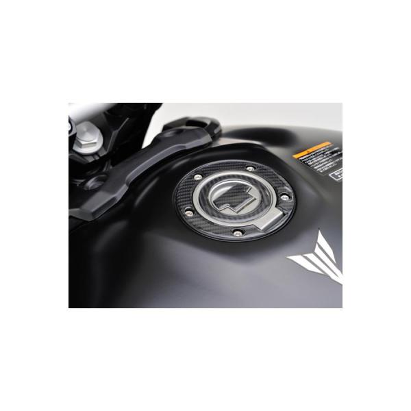 fCgi t[GLbvpbhJ[{ XSR900