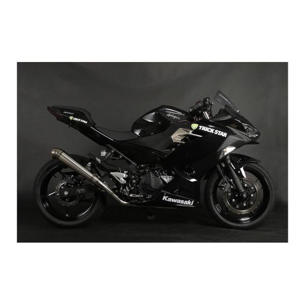 gbNX^[ [VOtGL _ O Ninja250 jW250