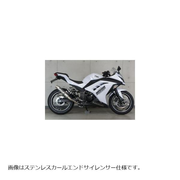 gbNX^[ [VOXbvI}t[ VbgKXeX GP-LOOK Ninja250 jW250